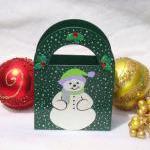 Green Holiday Gift Bag/ Ornament/ Decoration/..