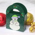 Green Holiday Gift Bag/ Ornament/ Decoration/..